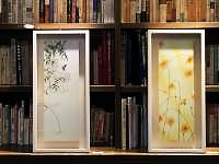 棚, 本, 室内, 図書館 が含まれている画像

自動的に生成された説明