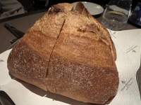半分に切られたパン

中程度の精度で自動的に生成された説明