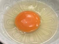 皿の上のオレンジ

低い精度で自動的に生成された説明