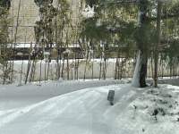 雪の積もった道と木々

中程度の精度で自動的に生成された説明