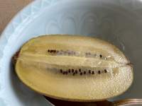 皿の上にあるバナナ

中程度の精度で自動的に生成された説明