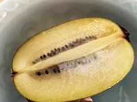 バナナの皮

中程度の精度で自動的に生成された説明