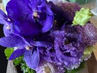 紫の花

自動的に生成された説明