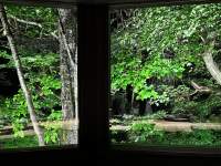 森の中を窓から見ている

中程度の精度で自動的に生成された説明
