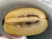 バナナの皮

中程度の精度で自動的に生成された説明