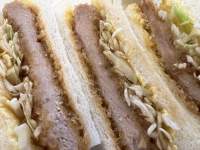 サンドイッチのアップ

低い精度で自動的に生成された説明