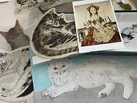 猫, 横たわる, 犬 が含まれている画像

自動的に生成された説明