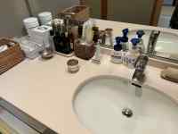 バスルームの一角にある洗面台

中程度の精度で自動的に生成された説明