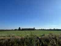 草の上に放牧されている
AI 生成コンテンツは誤りを含む可能性があります。