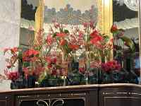 戸棚, 屋内, キッチン, 花 が含まれている画像
AI 生成コンテンツは誤りを含む可能性があります。