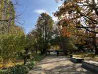 森の道
AI 生成コンテンツは誤りを含む可能性があります。