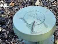 草, 屋外, 座る, 汚い が含まれている画像
AI 生成コンテンツは誤りを含む可能性があります。