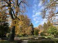 緑の木々
AI 生成コンテンツは誤りを含む可能性があります。