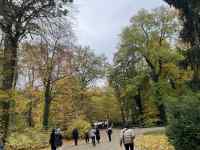 森の中を歩いている人たち
AI 生成コンテンツは誤りを含む可能性があります。