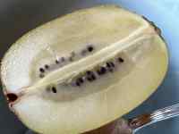 スポーツゲーム が含まれている画像
AI 生成コンテンツは誤りを含む可能性があります。