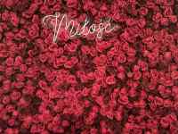 敷物, 花 が含まれている画像
AI 生成コンテンツは誤りを含む可能性があります。