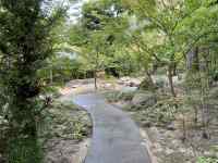 岩肌と木
AI 生成コンテンツは誤りを含む可能性があります。