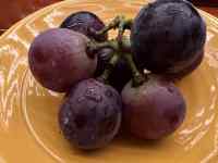 M̏ɂ鐔ނ̃t[c

AI Rec͌܂މ\܂B