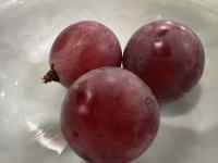 リンゴのアップ画面
AI 生成コンテンツは誤りを含む可能性があります。