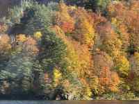 木々の黒い影
AI 生成コンテンツは誤りを含む可能性があります。