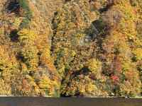 緑の木々
AI 生成コンテンツは誤りを含む可能性があります。