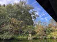 木 が含まれている画像
AI 生成コンテンツは誤りを含む可能性があります。