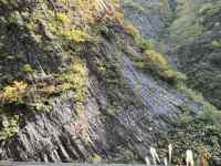 森の中を流れる川
AI 生成コンテンツは誤りを含む可能性があります。