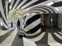 サボテン が含まれている画像
AI 生成コンテンツは誤りを含む可能性があります。