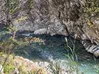 屋外, 草, 動物, 水 が含まれている画像
AI 生成コンテンツは誤りを含む可能性があります。