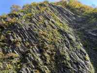 草が生えている木
AI 生成コンテンツは誤りを含む可能性があります。