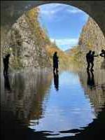 水, 鳥, 水鳥 が含まれている画像
AI 生成コンテンツは誤りを含む可能性があります。