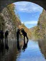 動物, 鳥, 水, ブルー が含まれている画像
AI 生成コンテンツは誤りを含む可能性があります。