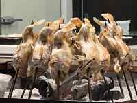 ウシ, 窓, 群れ, グループ が含まれている画像
AI 生成コンテンツは誤りを含む可能性があります。