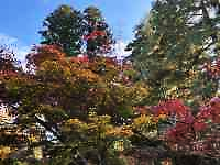 緑の木々
AI 生成コンテンツは誤りを含む可能性があります。