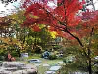 緑の木々
AI 生成コンテンツは誤りを含む可能性があります。