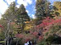 森に植えている木
AI 生成コンテンツは誤りを含む可能性があります。