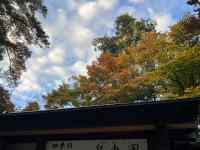 木, テレビ, 眺め, 大きい が含まれている画像
AI 生成コンテンツは誤りを含む可能性があります。