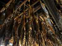 木の枝
AI 生成コンテンツは誤りを含む可能性があります。