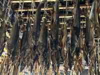 屋外, 工場, 木 が含まれている画像
AI 生成コンテンツは誤りを含む可能性があります。