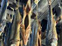 木の枝
AI 生成コンテンツは誤りを含む可能性があります。