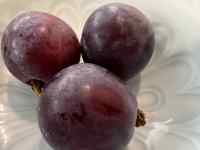 e[ȕɂ郊S

AI Rec͌܂މ\܂B