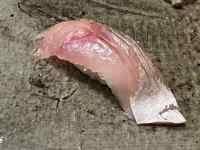 動物 が含まれている画像
AI 生成コンテンツは誤りを含む可能性があります。