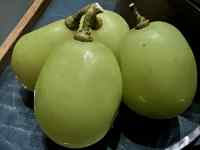 t[cĂ

AI Rec͌܂މ\܂B