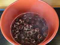 テーブル, 屋内, ボウル, 座る が含まれている画像
AI 生成コンテンツは誤りを含む可能性があります。