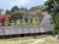 森の中の橋
AI 生成コンテンツは誤りを含む可能性があります。