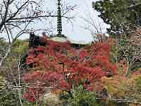 森の中の木
AI 生成コンテンツは誤りを含む可能性があります。