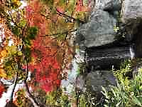 木の幹の写真
AI 生成コンテンツは誤りを含む可能性があります。