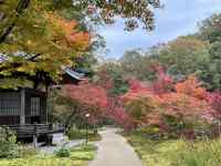 木々の間を流れる川
AI 生成コンテンツは誤りを含む可能性があります。