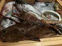 動物, 食品, テーブル, 木製 が含まれている画像
AI 生成コンテンツは誤りを含む可能性があります。