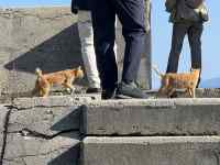 屋外, 建物, 立つ, 男 が含まれている画像
AI 生成コンテンツは誤りを含む可能性があります。